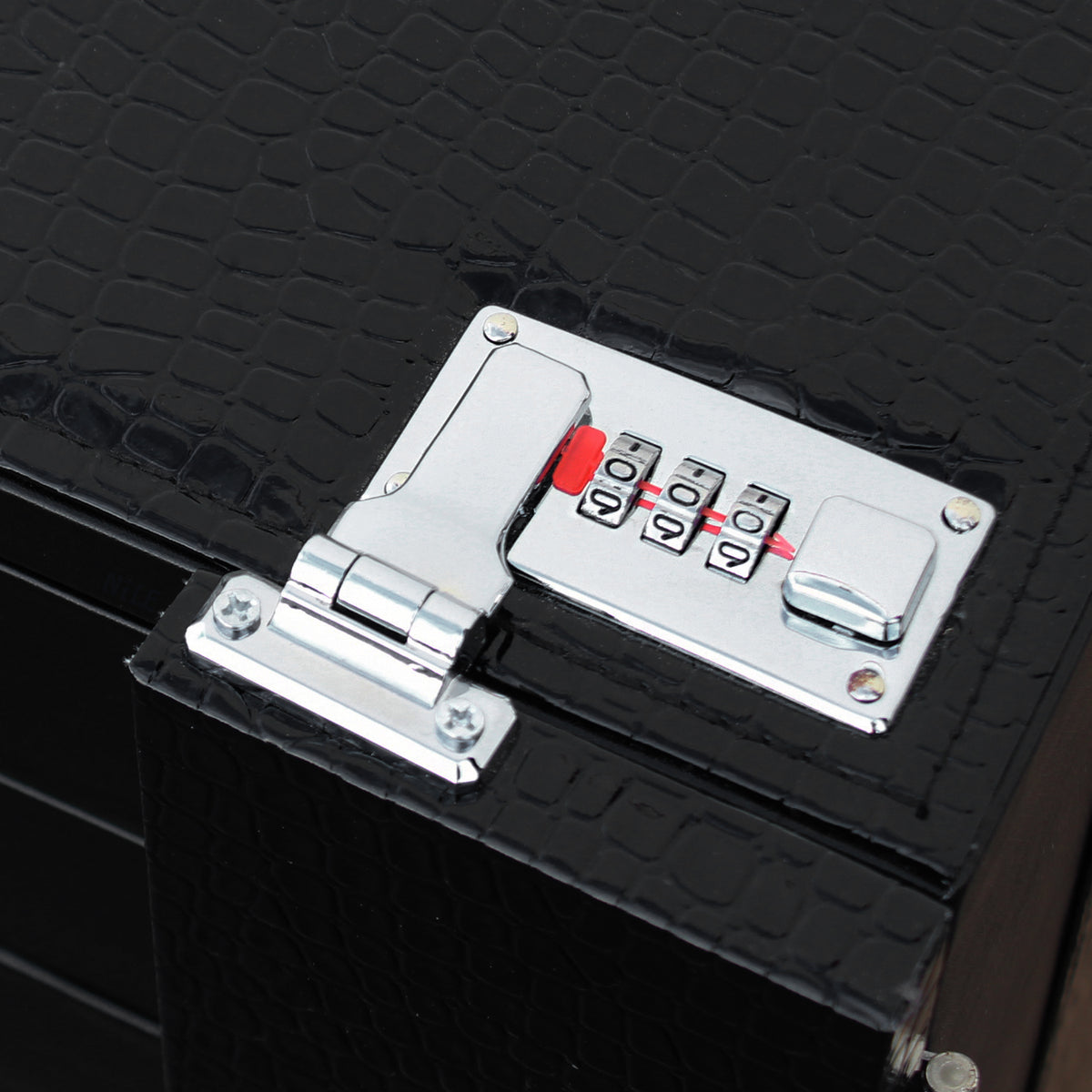 Eyewear Storage
